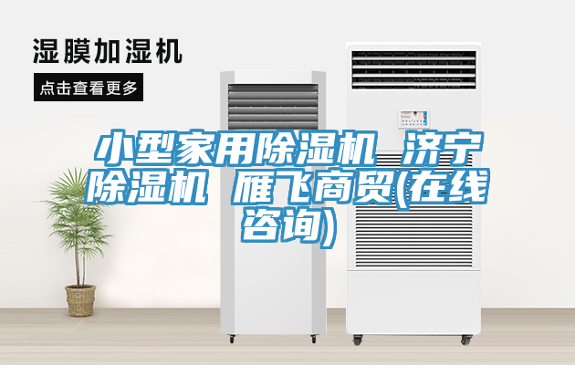 小型家用91看片软件大全 濟寧91看片软件大全 雁飛商貿(在線谘詢)