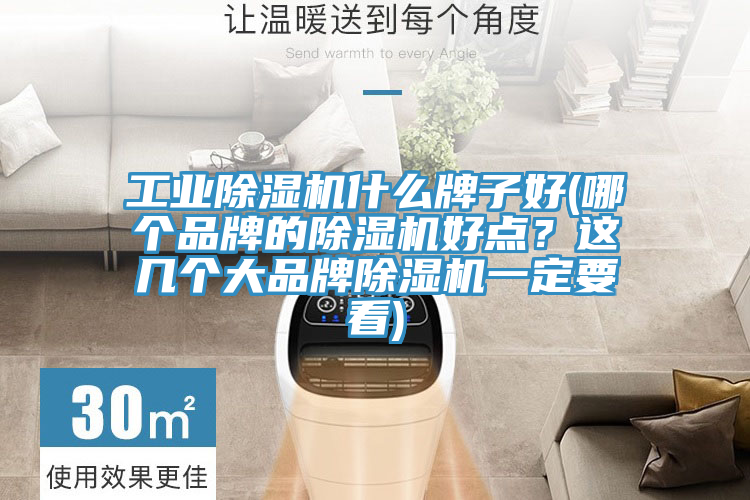 工業91看片软件大全什麽牌子好(哪個品牌的91看片软件大全好點？這幾個大品牌91看片软件大全一定要看)