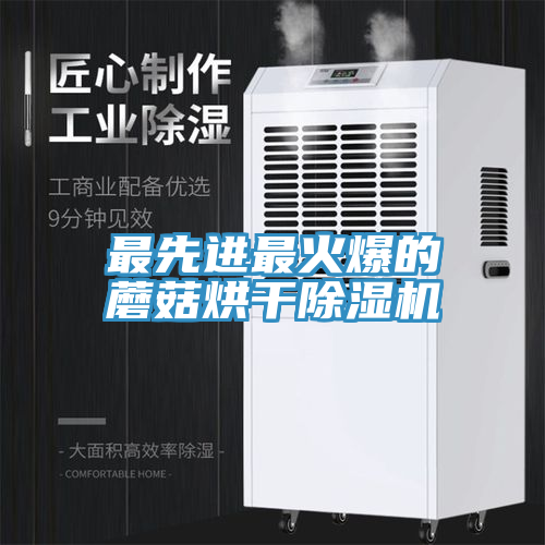 最先進最火爆的蘑菇烘幹91看片软件大全