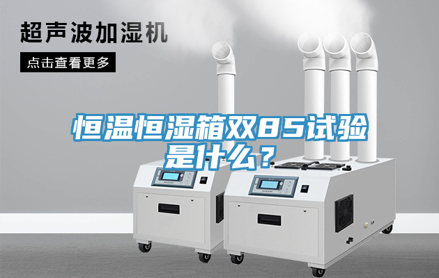 恒溫恒濕箱雙85試驗是什麽？