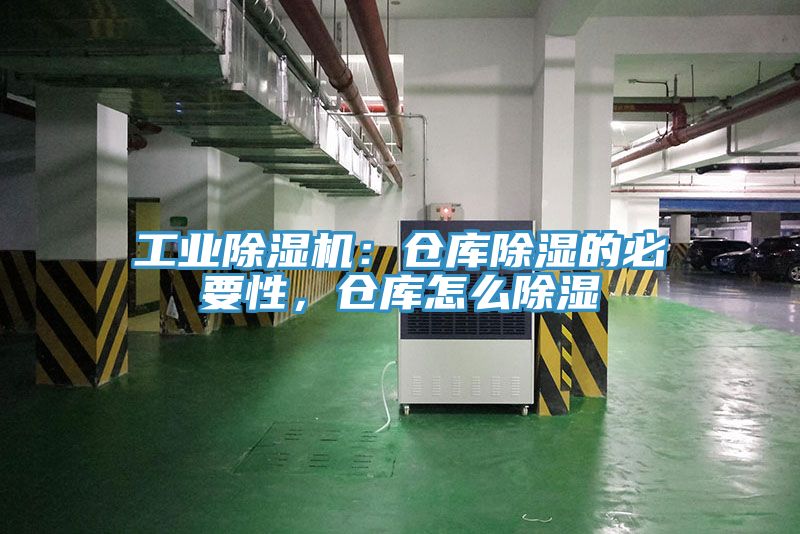 工業91看片软件大全：倉庫除濕的必要性，倉庫怎麽除濕