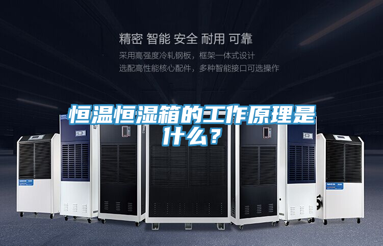 恒溫恒濕箱的工作原理是什麽？