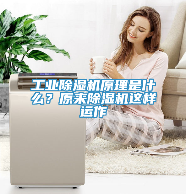 工業91看片软件大全原理是什麽？原來91看片软件大全這樣運作