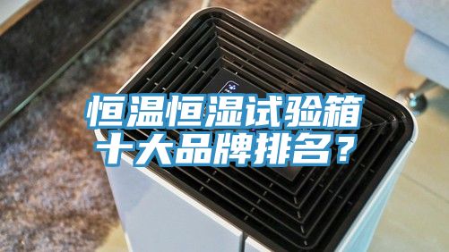恒溫恒濕試驗箱十大品牌排名？