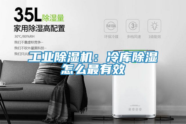 工業91看片软件大全：冷庫除濕怎麽最有效