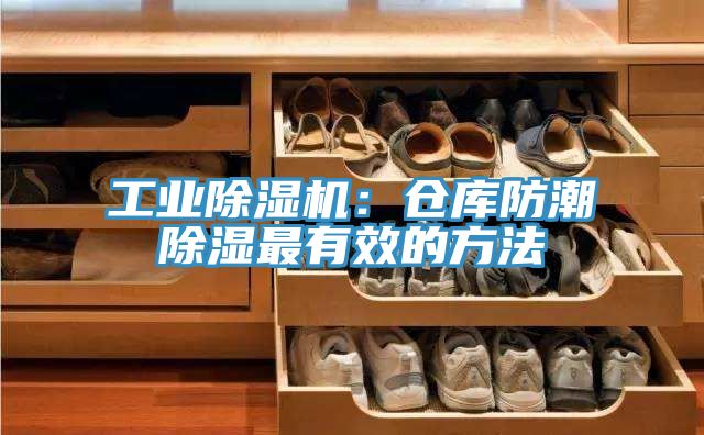 工業91看片软件大全：倉庫防潮除濕最有效的方法