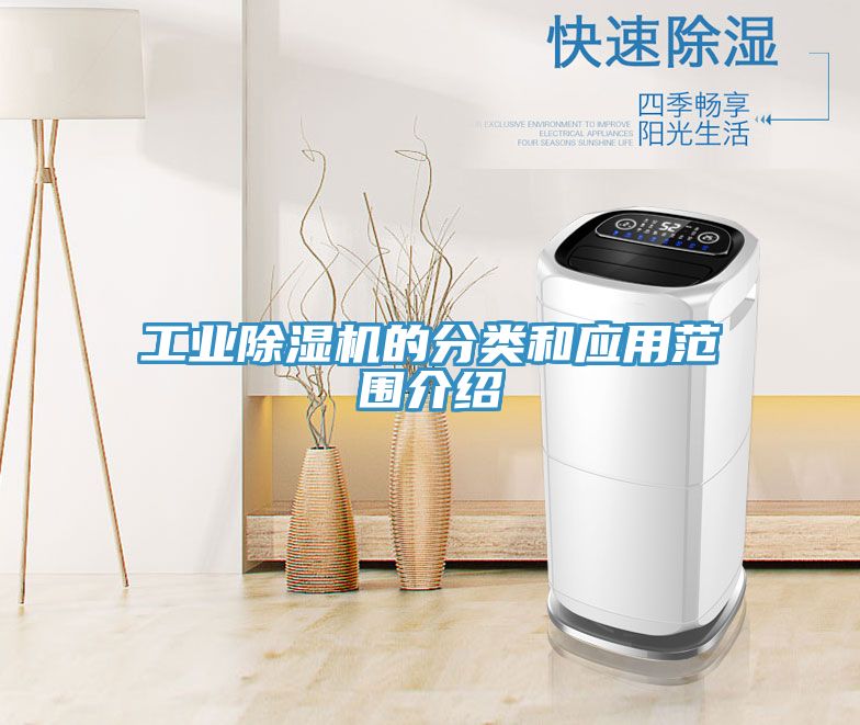 工業91看片软件大全的分類和應用範圍介紹