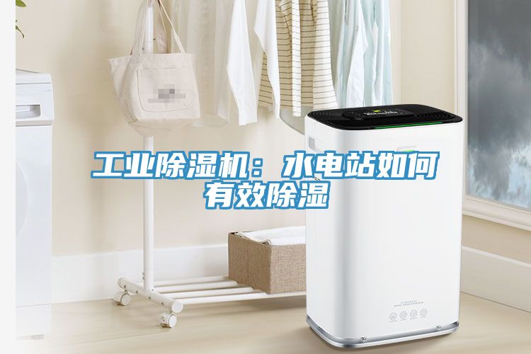 工業91看片软件大全：水電站如何有效除濕
