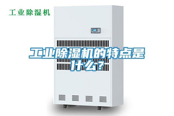 工業91看片软件大全的特點是什麽？