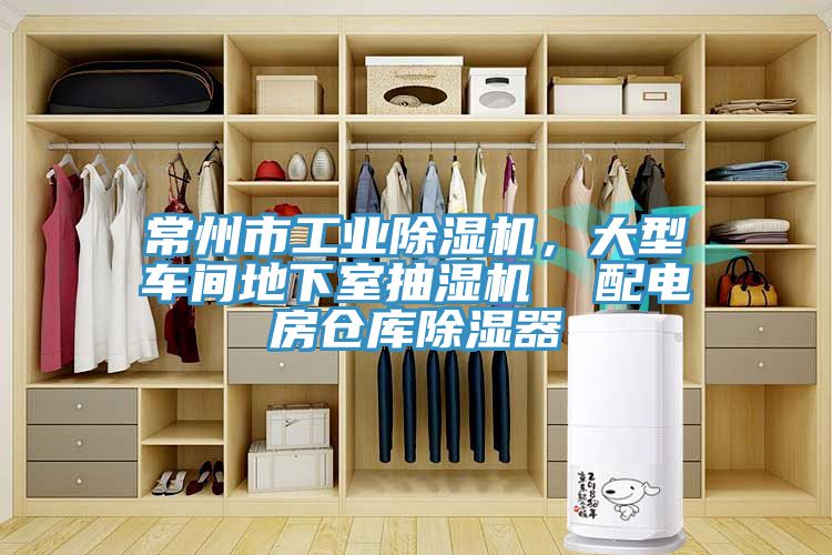 常州市工業91看片软件大全，大型車間地下室抽濕機  配電房倉庫除濕器