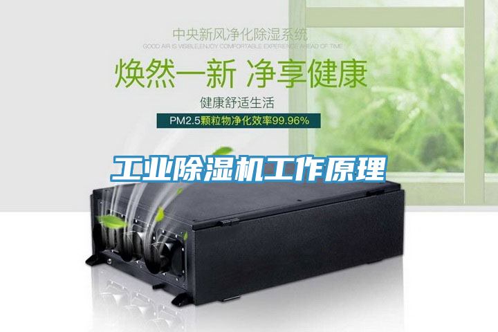 工業91看片软件大全工作原理