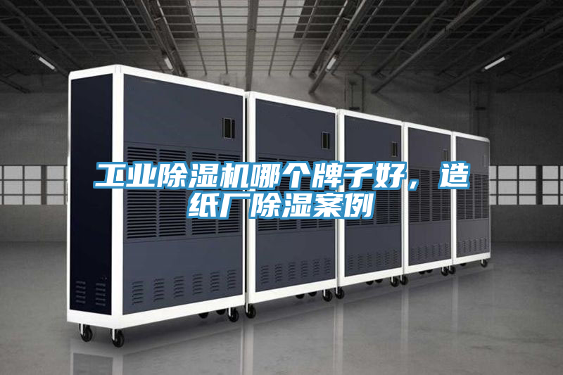 工業91看片软件大全哪個牌子好，造紙廠除濕案例