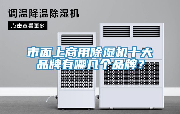 市麵上商用91看片软件大全十大品牌有哪幾個品牌？