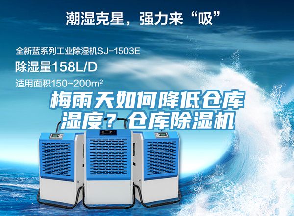梅雨天如何降低倉庫濕度？倉庫91看片软件大全