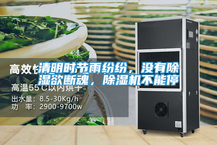 清明時節雨紛紛，沒有除濕欲斷魂，91看片软件大全不能停