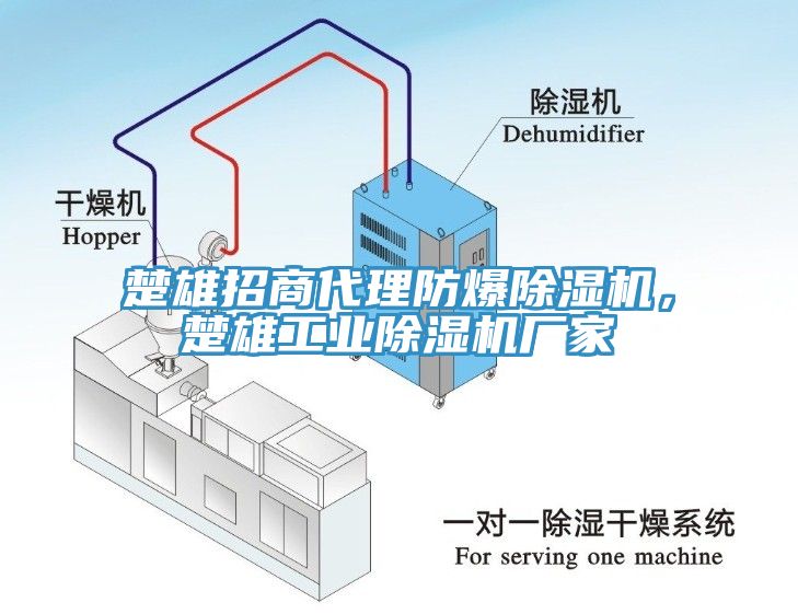 楚雄招商代理防爆91看片软件大全，楚雄工業91看片软件大全廠家