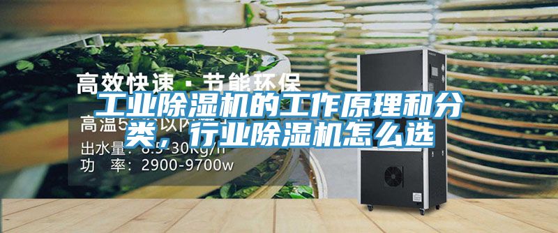 工業91看片软件大全的工作原理和分類，行業91看片软件大全怎麽選