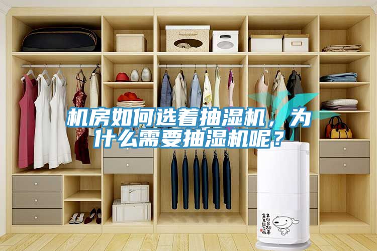 機房如何選著抽濕機，為什麽需要抽濕機呢？