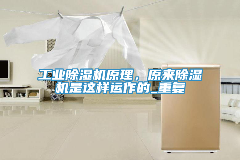工業91看片软件大全原理，原來91看片软件大全是這樣運作的_重複