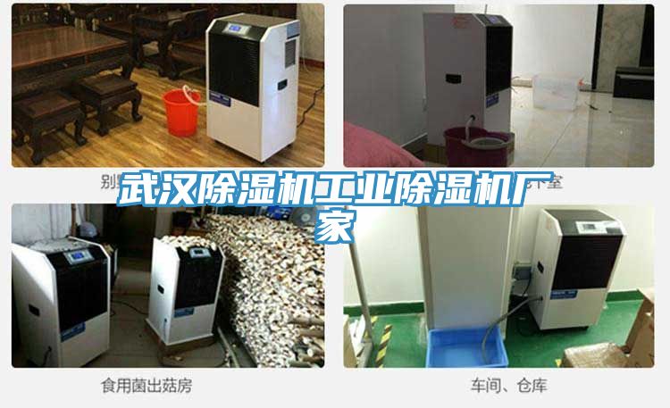 武漢91看片软件大全工業91看片软件大全廠家