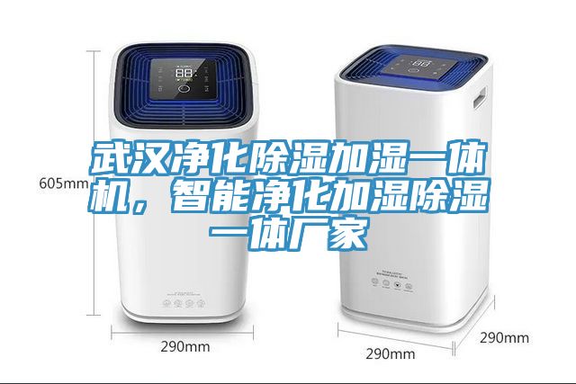 武漢淨化除濕加濕一體機，智能淨化加濕除濕一體廠家