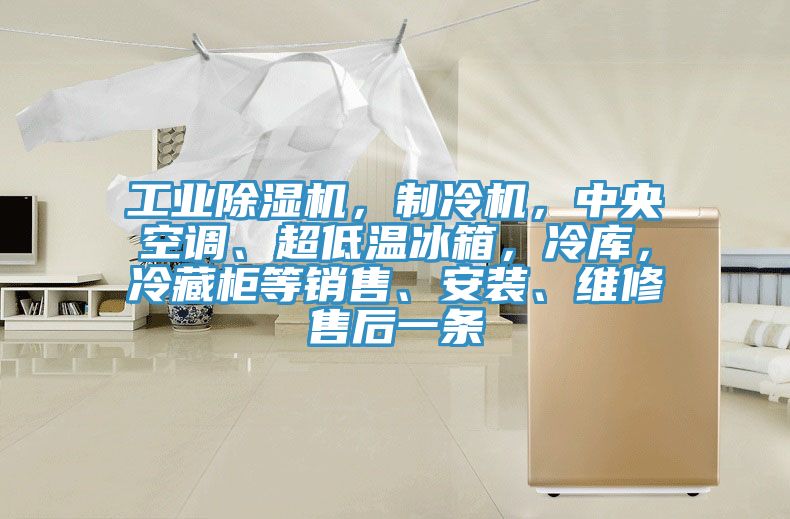工業91看片软件大全，製冷機，中央空調、超低溫冰箱，冷庫，冷藏櫃等銷售、安裝、維修售後一條