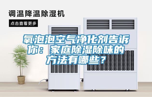 氧泡泡空氣淨化劑告訴你：家庭除濕除味的方法有哪些？