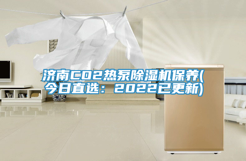 濟南CO2熱泵91看片软件大全保養(今日直選：2022已更新)