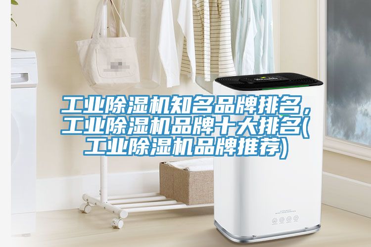 工業91看片软件大全知名品牌排名，工業91看片软件大全品牌十大排名(工業91看片软件大全品牌推薦)