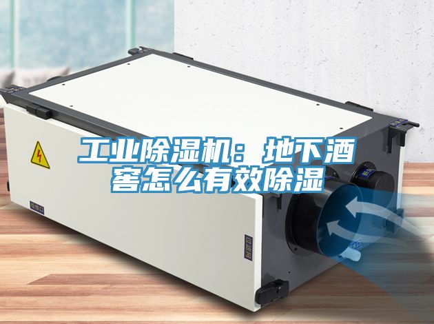 工業91看片软件大全：地下酒窖怎麽有效除濕