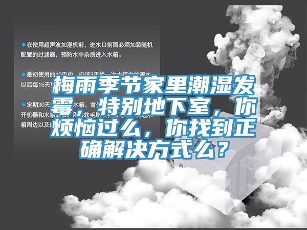 梅雨季節家裏潮濕發黴，特別地下室，你煩惱過麽，你找到正確解決方式麽？