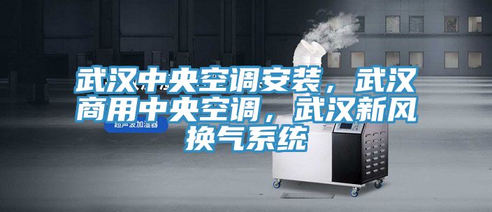 武漢中央空調安裝，武漢商用中央空調，武漢新風換氣係統