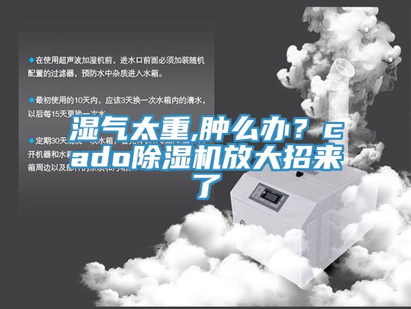 濕氣太重,腫麽辦？cado91看片软件大全放大招來了