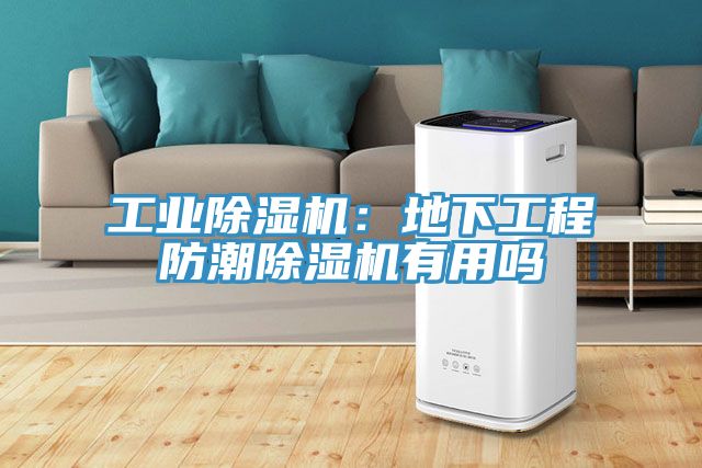 工業91看片软件大全：地下工程防潮91看片软件大全有用嗎