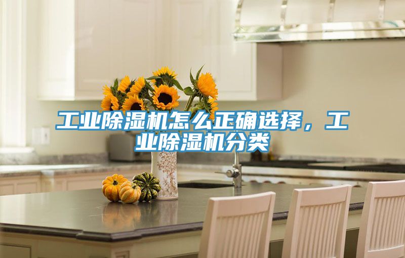 工業91看片软件大全怎麽正確選擇，工業91看片软件大全分類