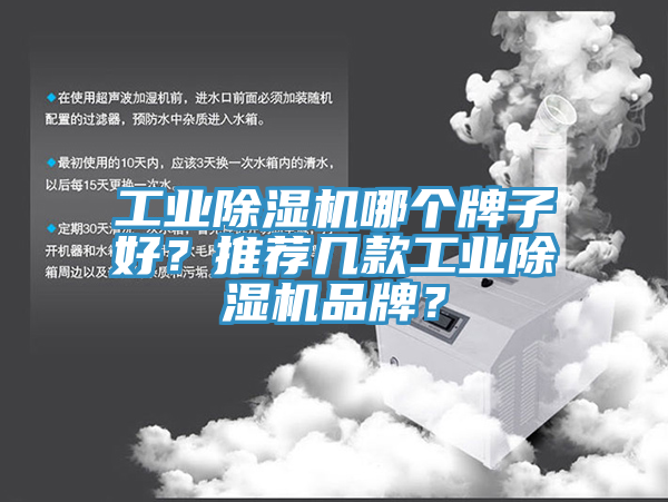 工業91看片软件大全哪個牌子好？推薦幾款工業91看片软件大全品牌？