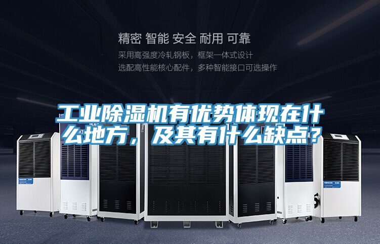 工業91看片软件大全有優勢體現在什麽地方，及其有什麽缺點？