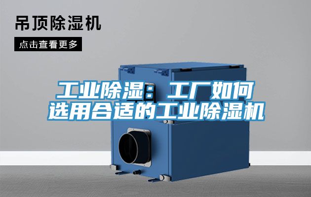 工業除濕：工廠如何選用合適的工業91看片软件大全