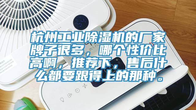 杭州工業91看片软件大全的廠家牌子很多，哪個性價比高啊，推薦下，售後什麽都要跟得上的那種。