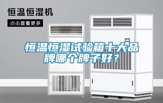 恒溫恒濕試驗箱十大品牌哪個牌子好？