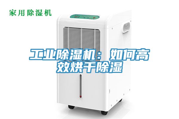 工業91看片软件大全：如何高效烘幹除濕