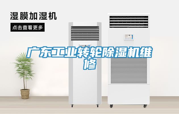 廣東工業轉輪91看片软件大全維修