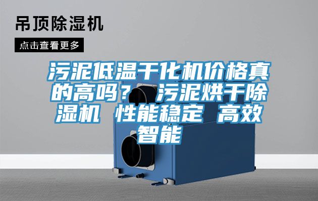 汙泥低溫幹化機價格真的高嗎？ 汙泥烘幹91看片软件大全 性能穩定 高效智能