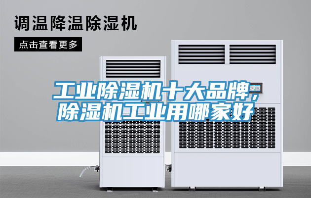 工業91看片软件大全十大品牌，91看片软件大全工業用哪家好