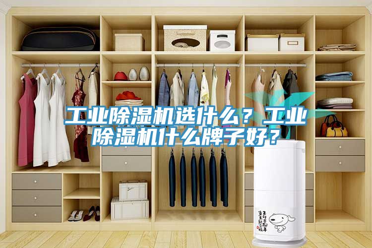 工業91看片软件大全選什麽？工業91看片软件大全什麽牌子好？