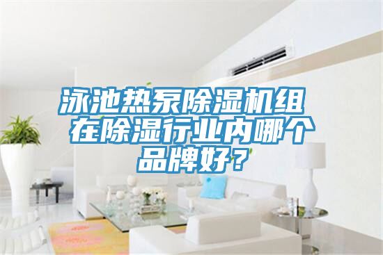 泳池熱泵91看片软件大全組 在除濕行業內哪個品牌好？