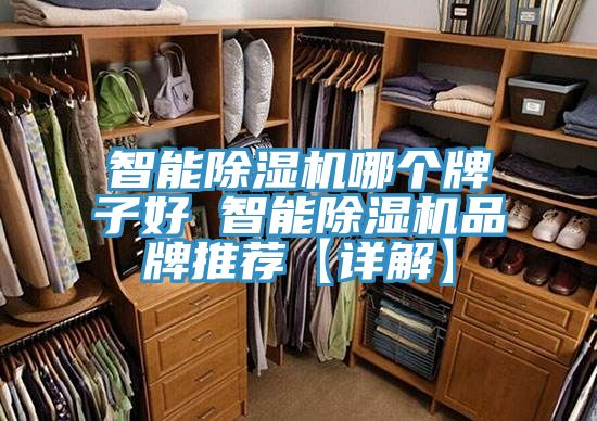 智能91看片软件大全哪個牌子好 智能91看片软件大全品牌推薦【詳解】