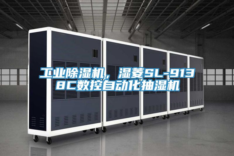 工業91看片软件大全，濕菱SL-9138C數控自動化抽濕機