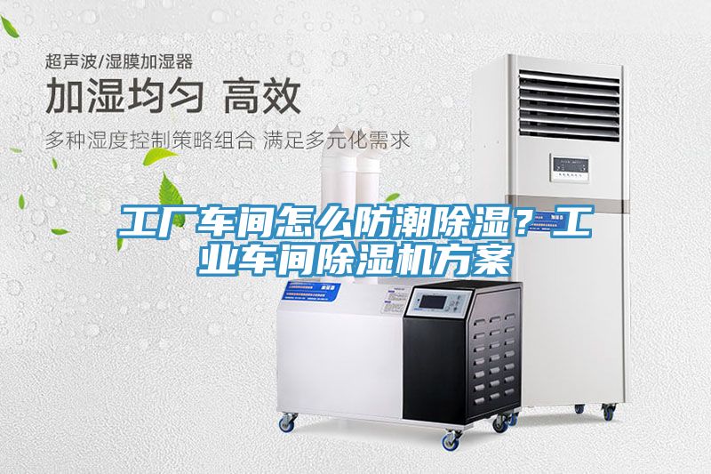 工廠車間怎麽防潮除濕？工業車間91看片软件大全方案