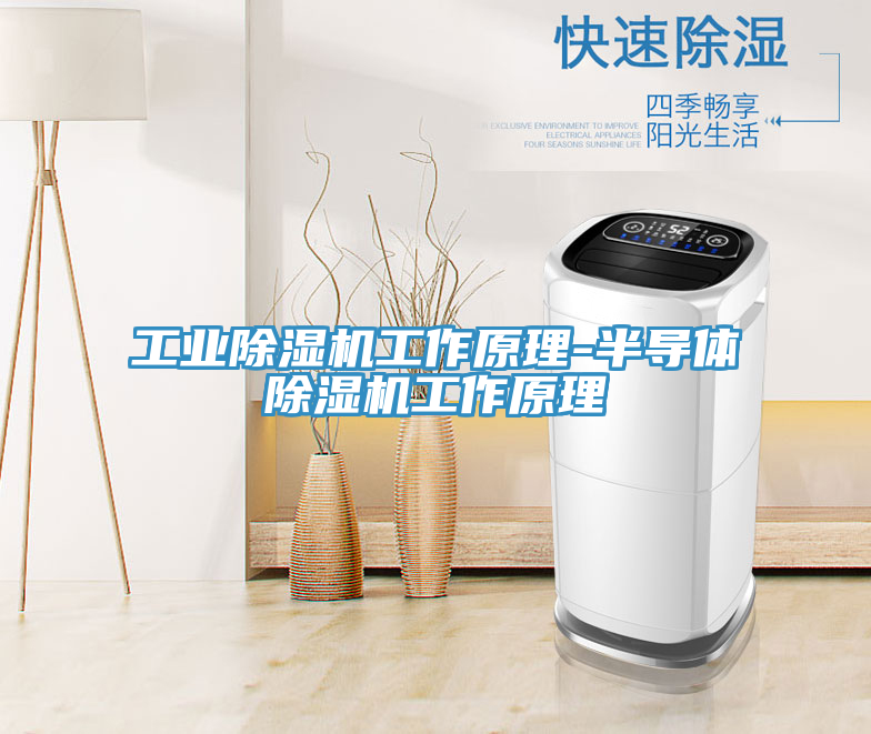 工業91看片软件大全工作原理-半導體91看片软件大全工作原理